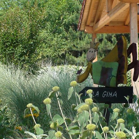 Villa Gina 체로브란코 외부 사진