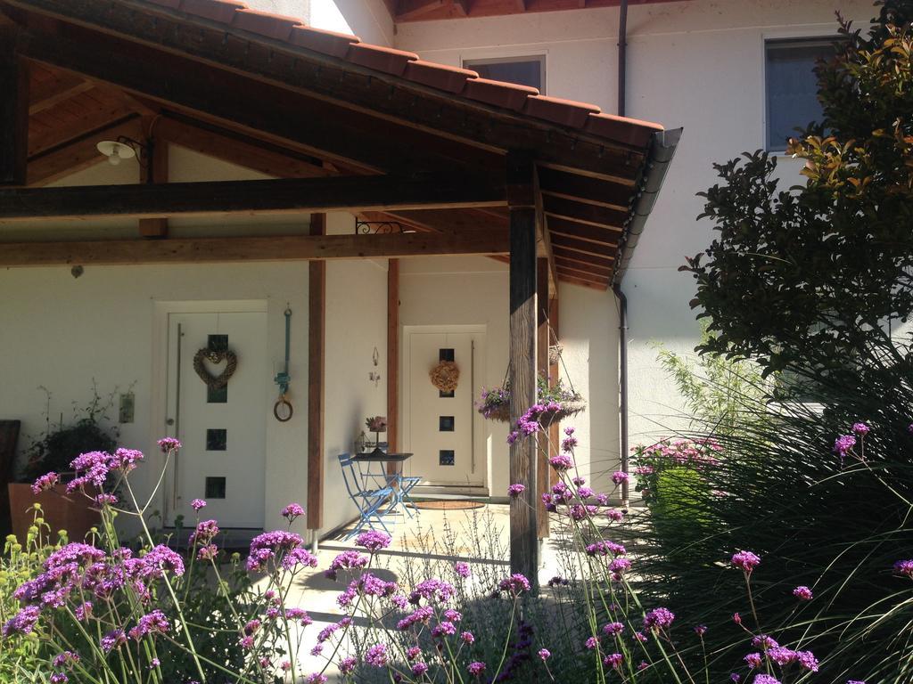 Villa Gina 체로브란코 외부 사진